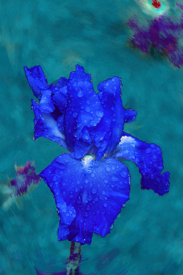 Royal Blue Iris Painting by Viktor Savchenko