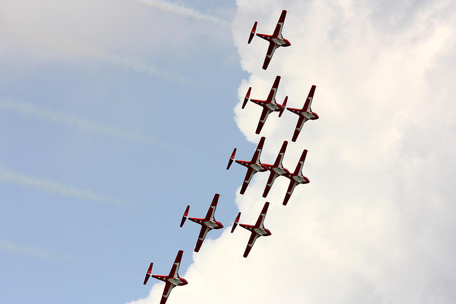 Royal Canadian snowbirds Photograph by Nick Mares