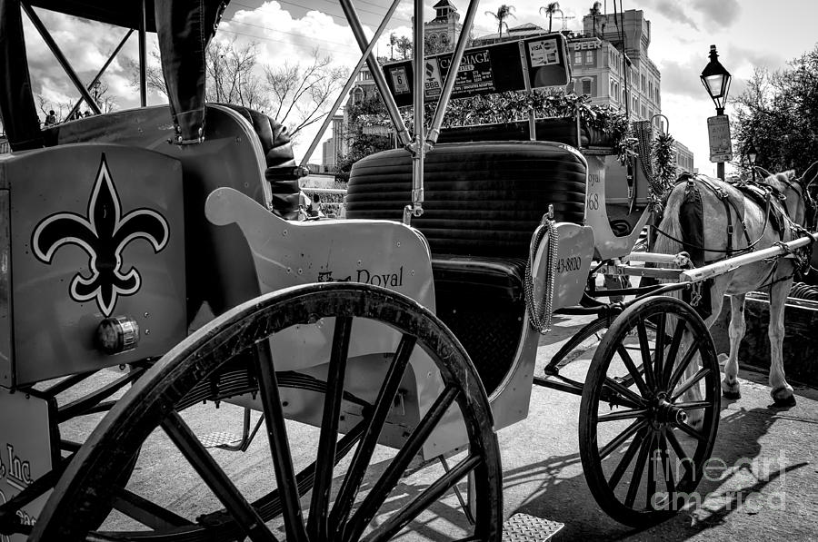 Royal Carriage and Mule New Orleans - Black and White Photograph by Kathleen K Parker