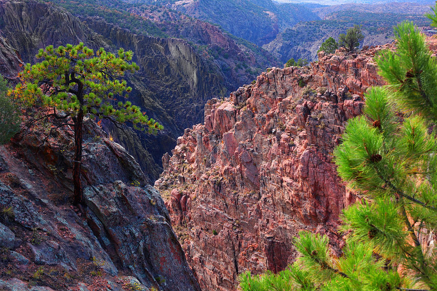 Royal Gorge Photograph by Mike Flynn