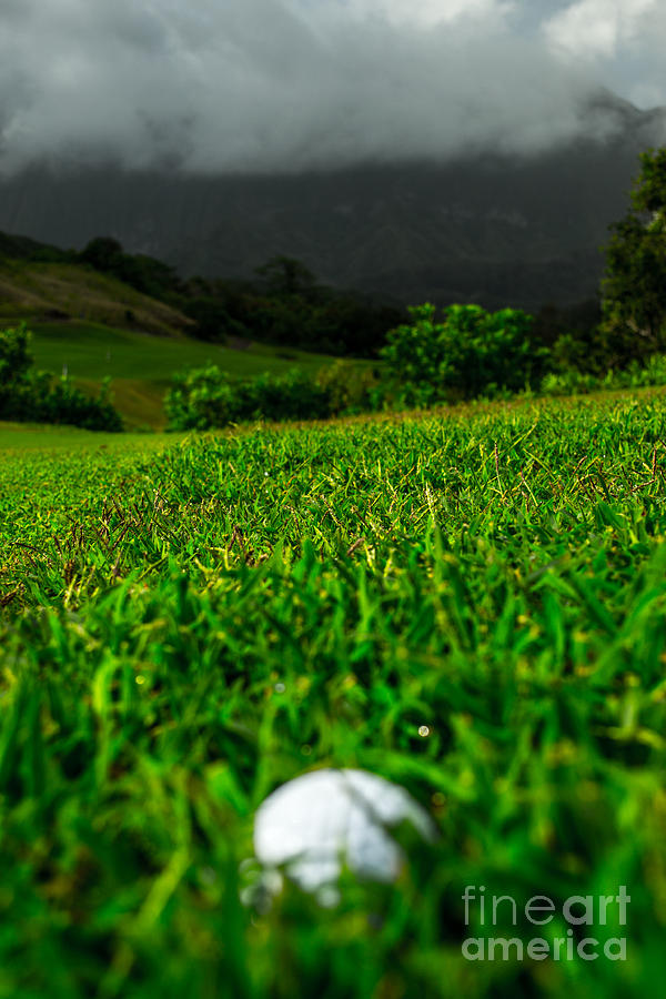 Royal Hawaiian Golf Photograph by Angela DeFrias