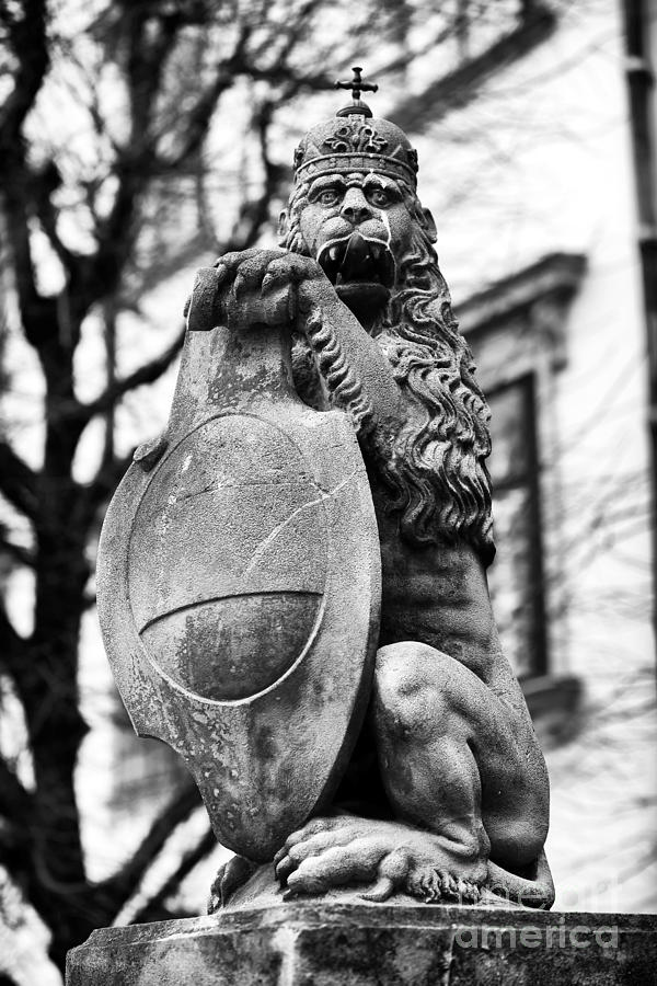 Royal Lion Statue Vienna Photograph by John Rizzuto