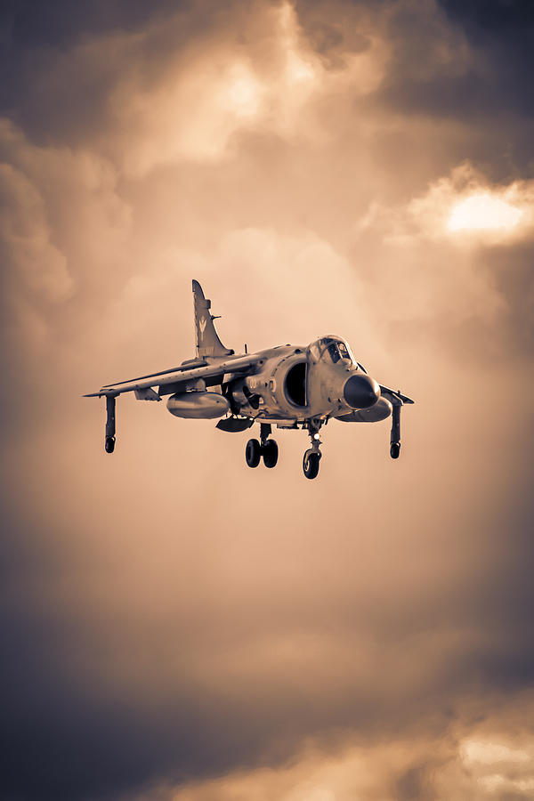 Royal Navy Sea Harrier Photograph by Chris Smith