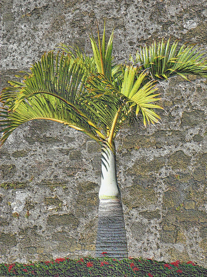 Royal Palm Mixed Media by Rosalie Scanlon