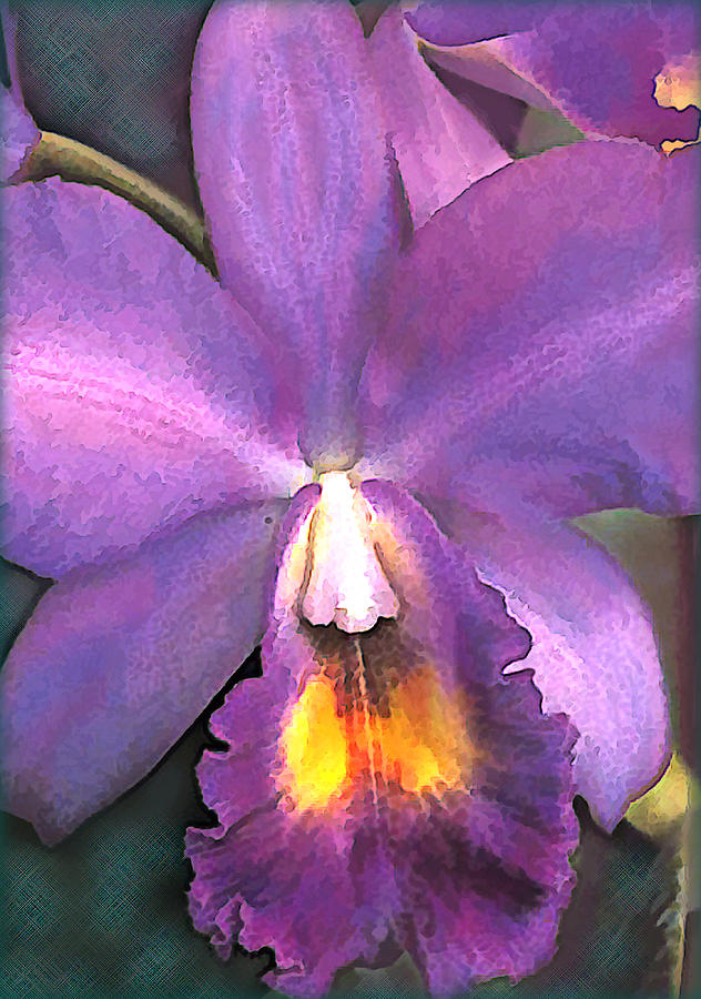 Orchid Painting - Royal Purple Cattleya Orchid by Elaine Plesser