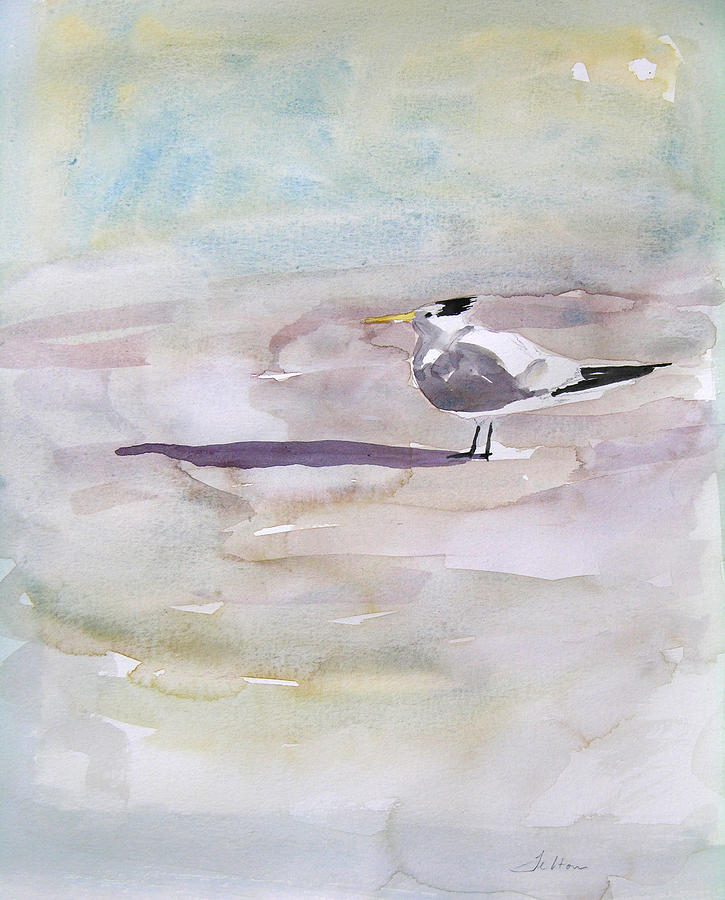 Seashore Painting - Royal Tern  by Julianne Felton