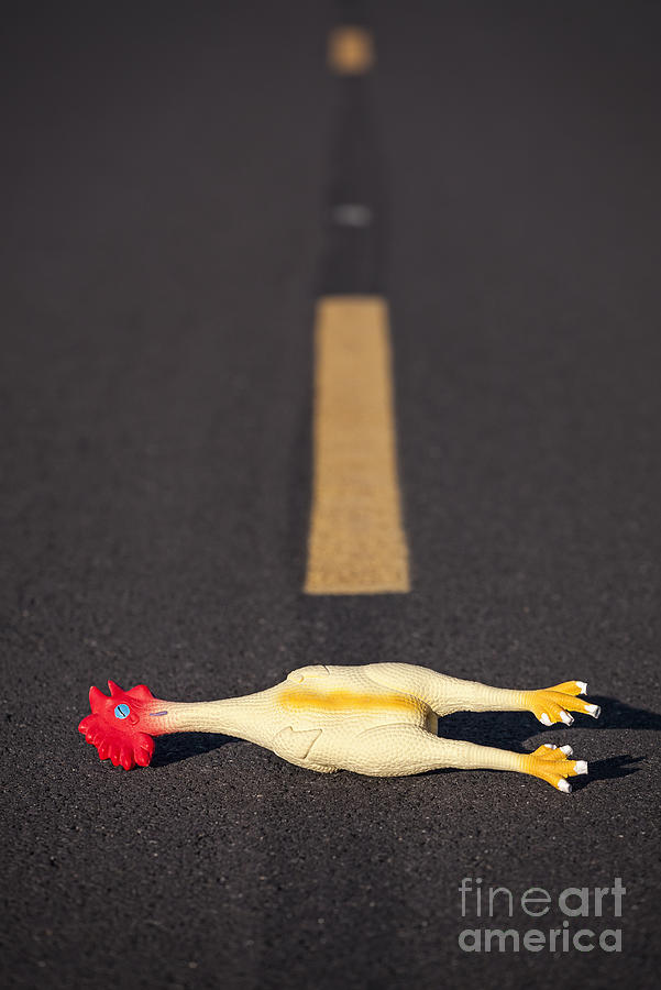 Rubber Chicken on Road Photograph by Bryan Mullennix