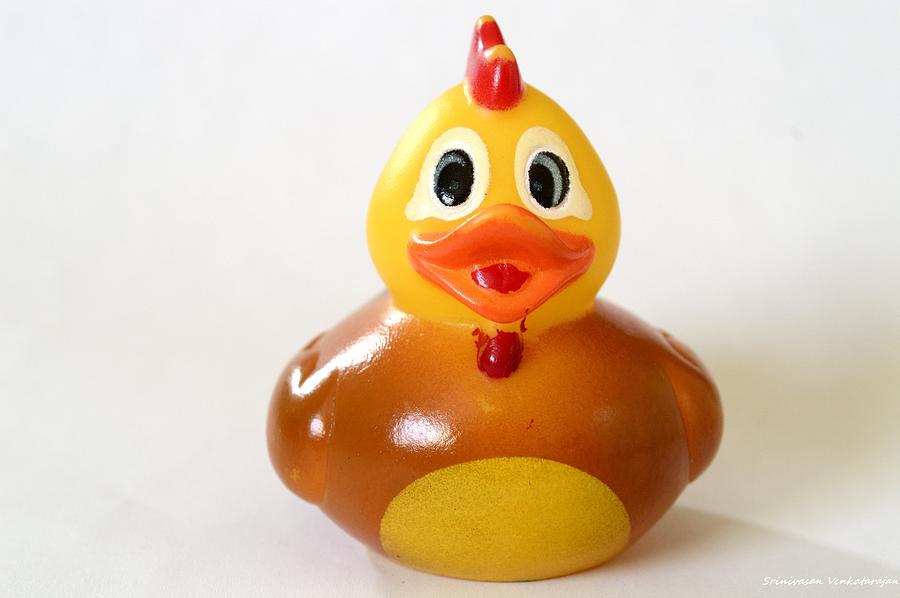 Rubber Duckie Photograph By Srinivasan Venkatarajan Fine Art America