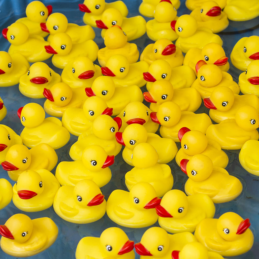 mini plastic ducks bulk
