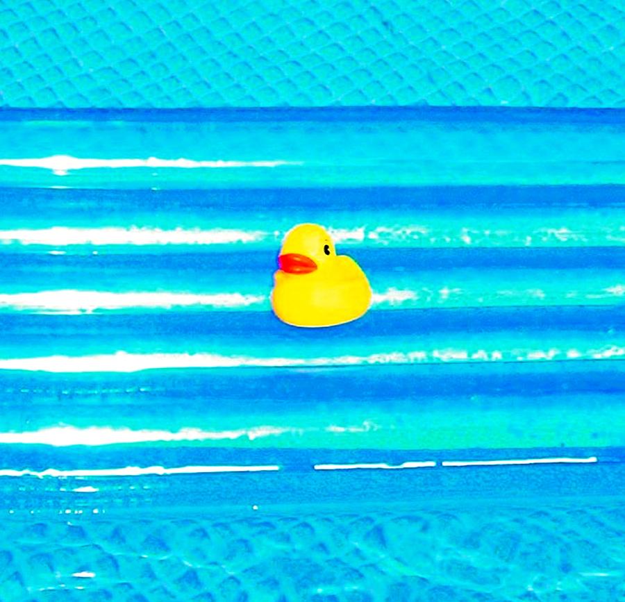 Rubber Ducky Photograph By Bonnie Clark Weatherford Fine Art America