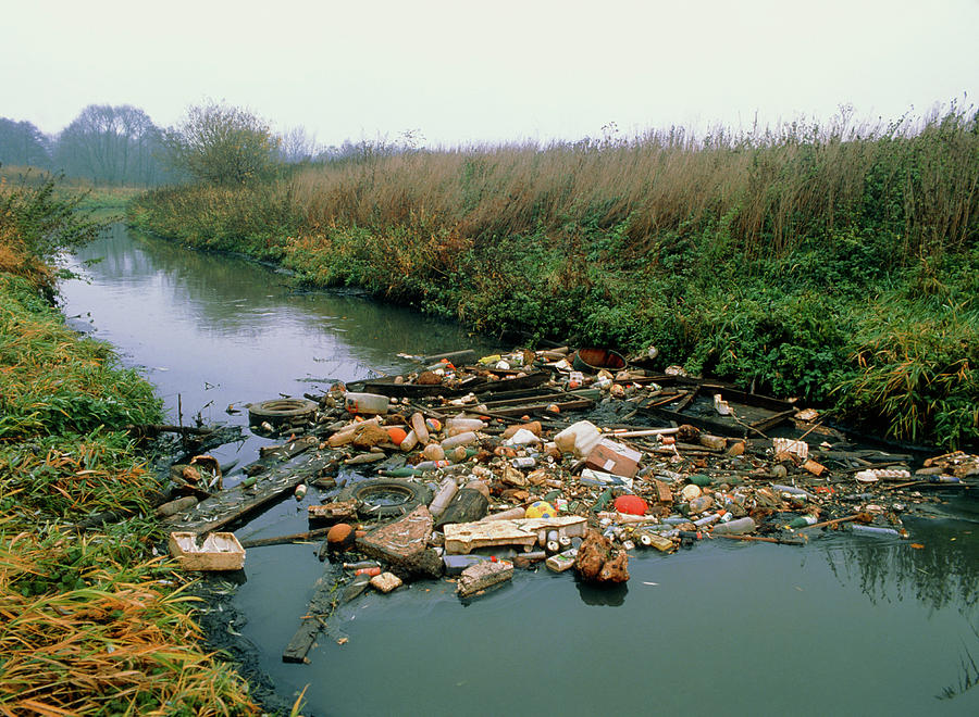 Rubbish Filled River Photograph by Simon Fraser/science Photo Library ...