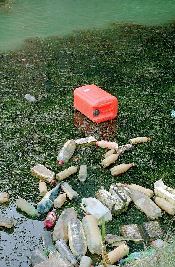 Bottle Photograph - Rubbish Floating In A Canal by Robert Brook/science Photo Library