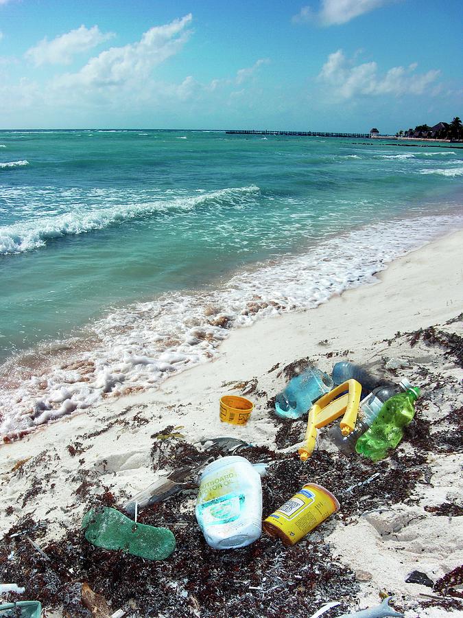 Rubbish On A Beach Photograph by Science Photo Library Rubbish On A Beach Photograph by Science Photo Library