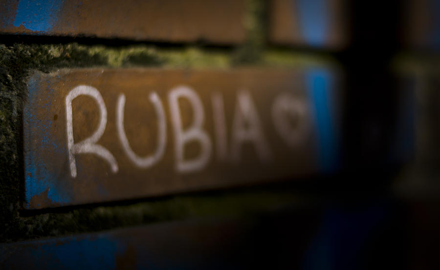 Rubia Photograph by Pablo Lopez