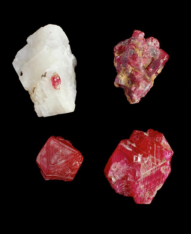 Rubies And Sapphire Photograph by Natural History Museum, London/science Photo Library