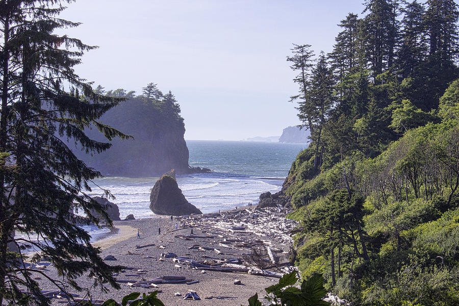Ruby Beach Photograph by Cathy Anderson