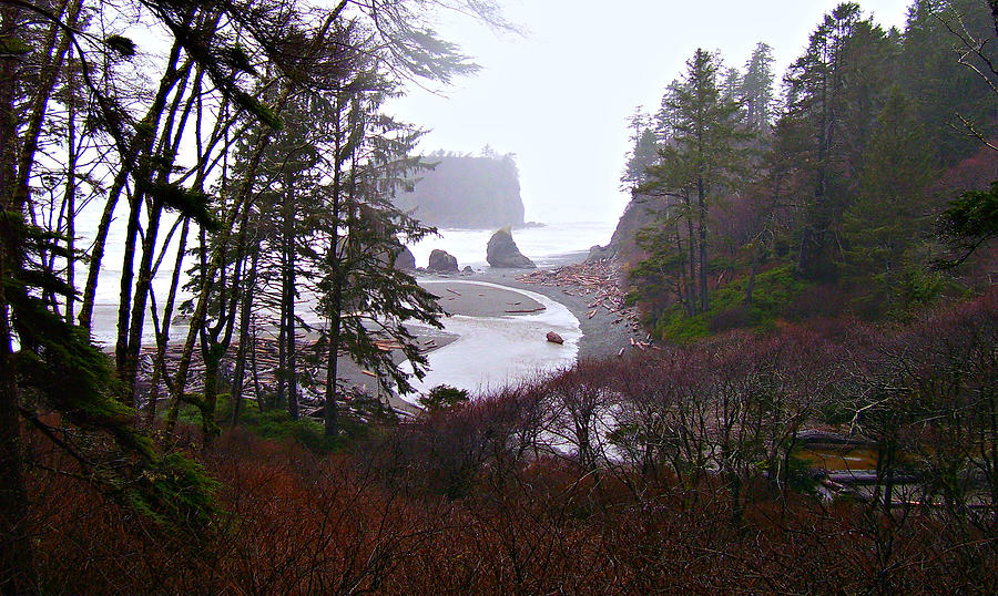 Beach Photograph - Ruby Beach In The Winter by Jeanette C Landstrom