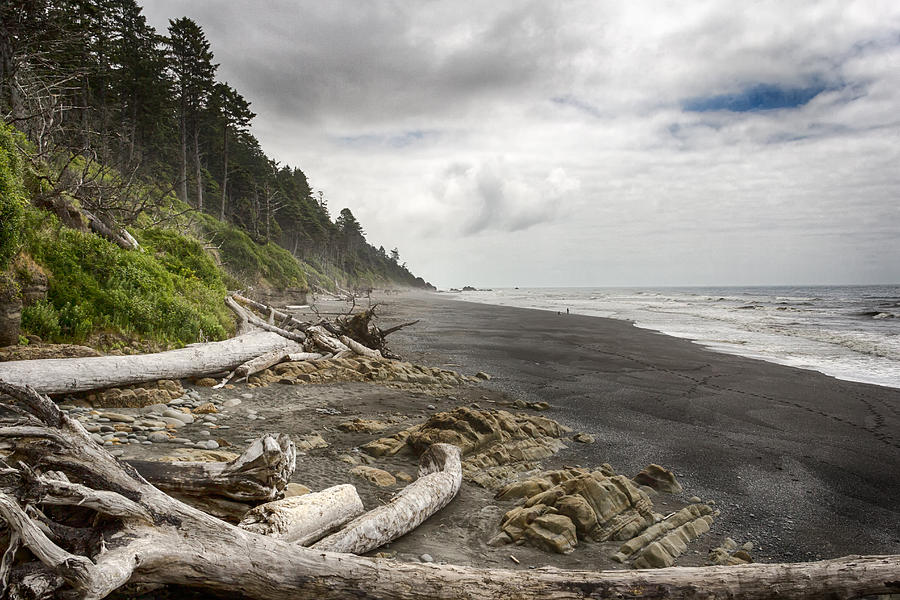 Ruby Beach Photograph by Jayme Spoolstra