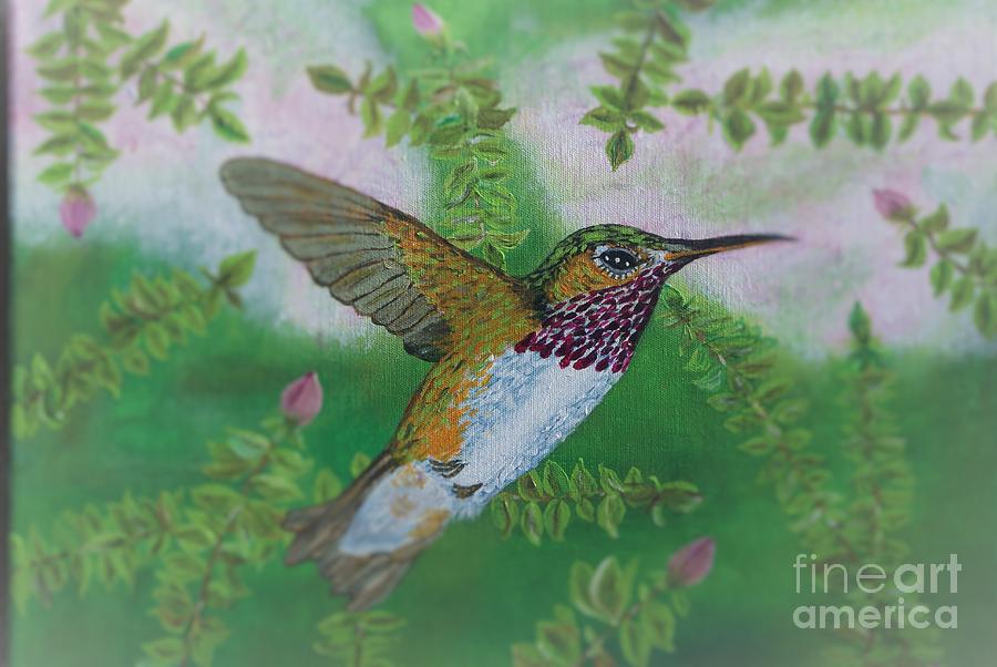 Ruby Throat Hummingbird Painting by William Ohanlan - Fine Art America