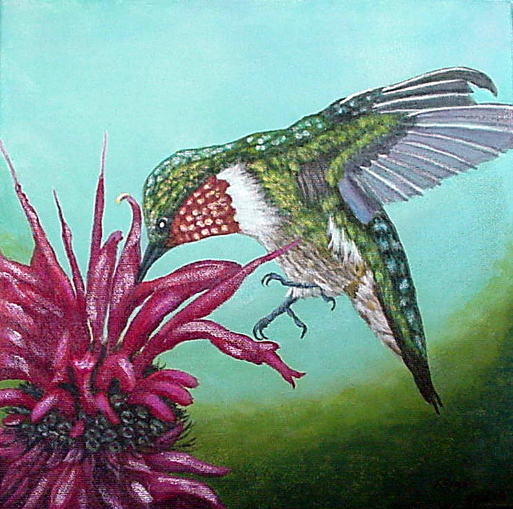 Hummingbird Painting - Ruby-Throated Hummingbird by Fran Brooks