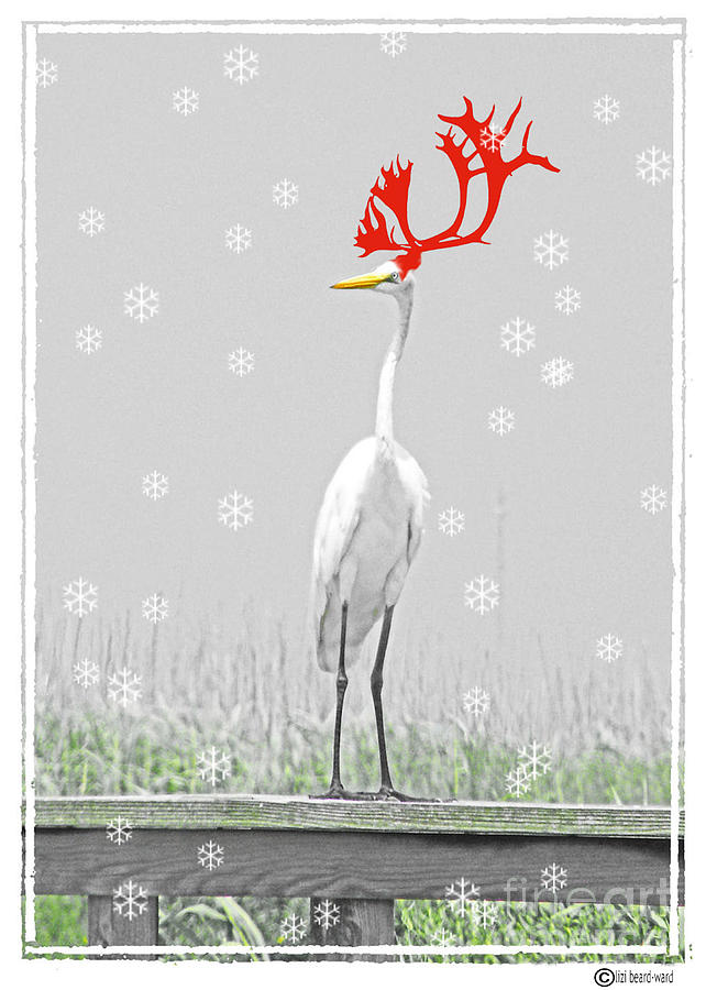 Rudolph Digital Art by Lizi Beard-Ward