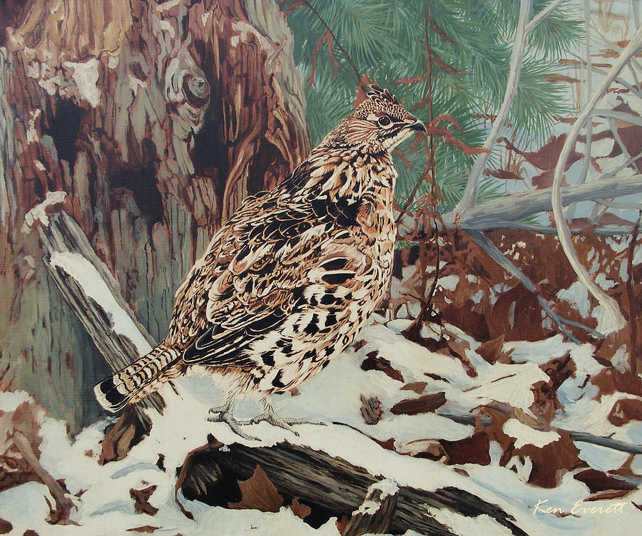 Ruffed Grouse Painting by Ken Everett