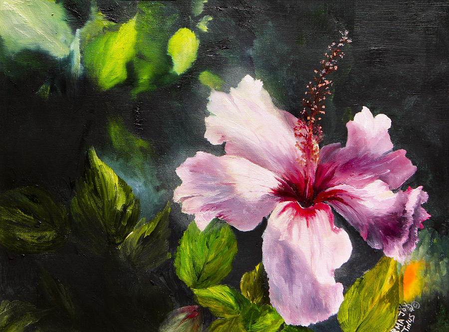 Ruffled Hibiscus Painting by Irma-Joy Tinus | Fine Art America