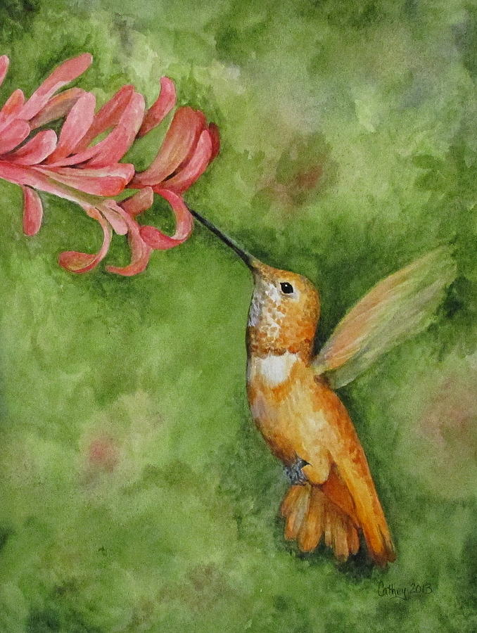 Rufous Hummingbird Painting by Catherine Howley