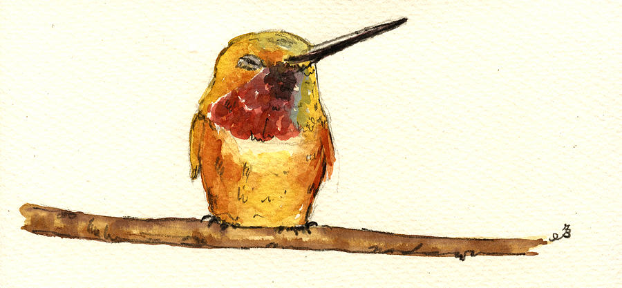 Hummingbird Painting - Rufous hummingbird  by Juan  Bosco