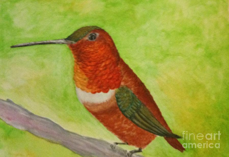 Rufous Painting by Karen Hamby - Fine Art America