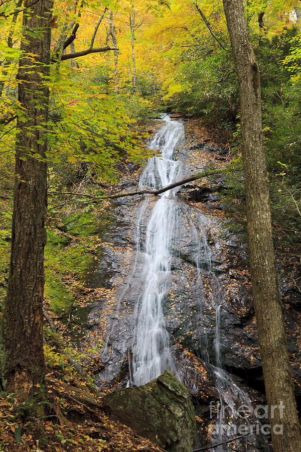 Rufus Morgan Falls in North Carolina Photograph by Jill Lang