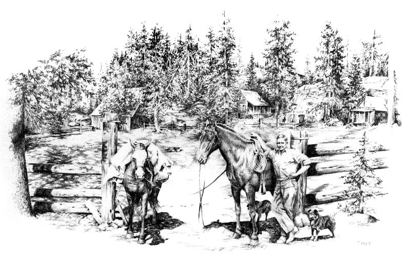 Ranching Drawing - Rufus Swift At The Bassi by Jonni Hill Ranching Drawing - Rufus Swift At The Bassi by Jonni Hill