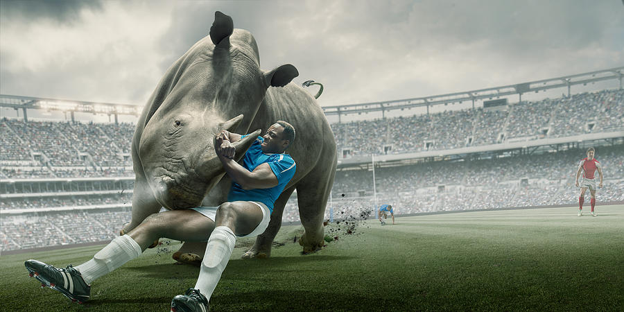 Rugby Player Tackling Rhino During Match in Outdoor Stadium Photograph by Peepo