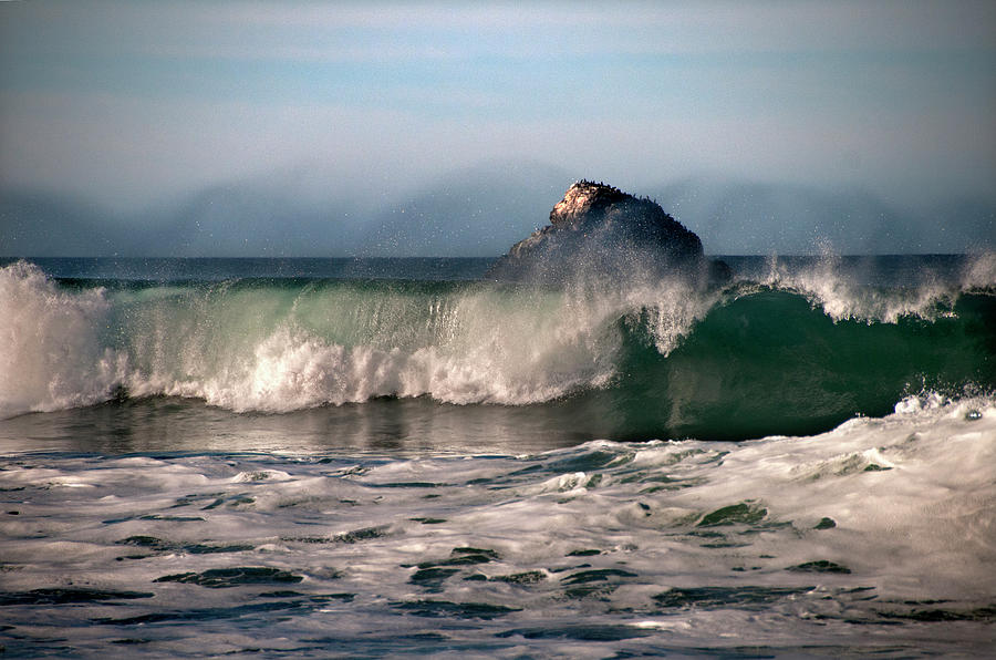 Rugged Big Sur Coast Photograph by Mitch Diamond