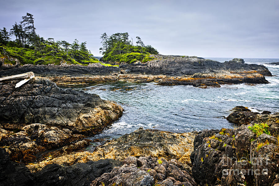 Long Beach Photograph - Rugged coast of Pacific ocean on Vancouver Island by Elena Elisseeva