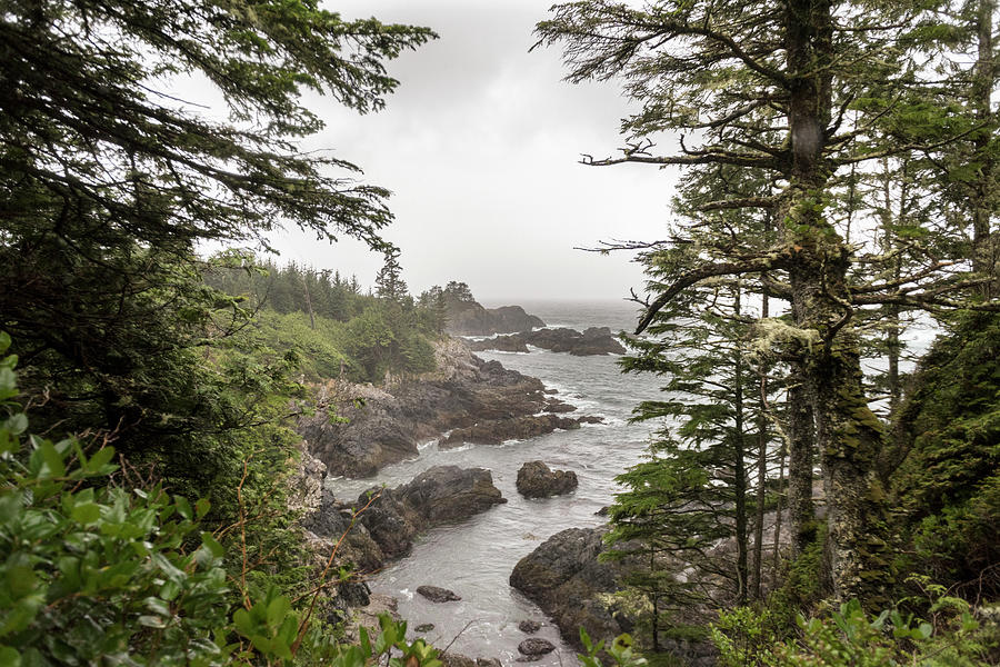 Rugged Coastline On Wild Pacific Trail Photograph by Keith Levit