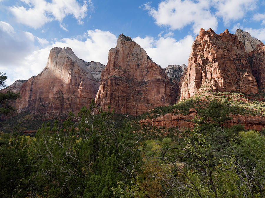 Rugged Sandstone Cliffs In Zion Photograph by Keith Levit / Design Pics
