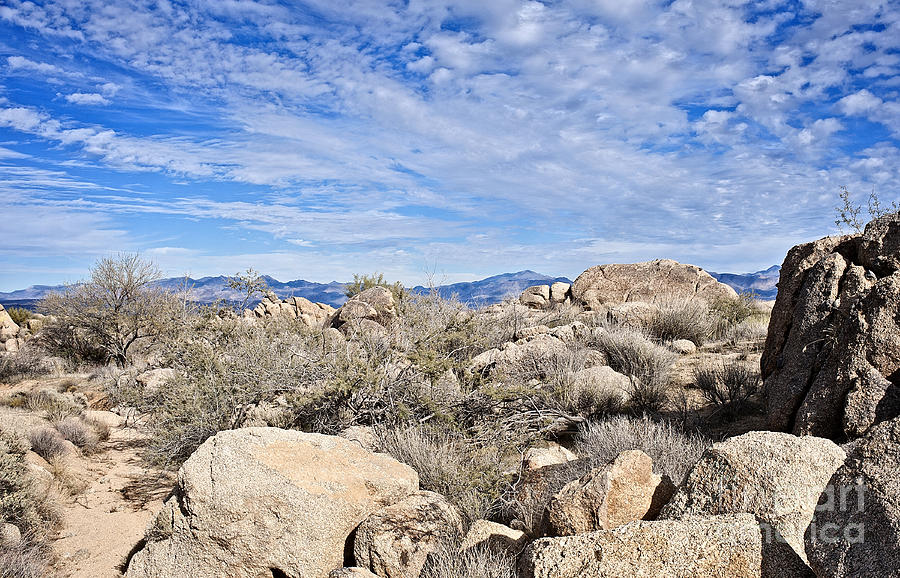 Rugged Sonoran Rocky Top Photograph by Lee Craig