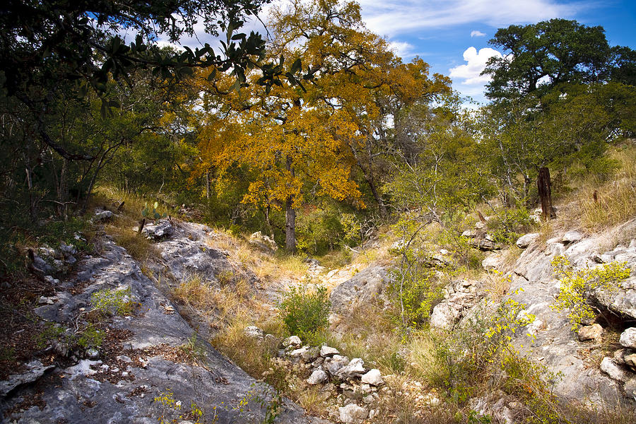 Fall Photograph - Rugged Texas Hill Country by Mark Weaver