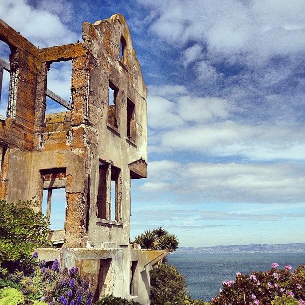 Flower Photograph - Ruined. #alcatraz #island #prison #ruin by Robyn Chell