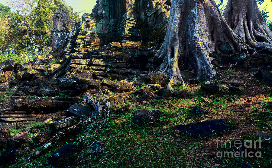 Tree Photograph - Ruins and Roots by Julian Cook