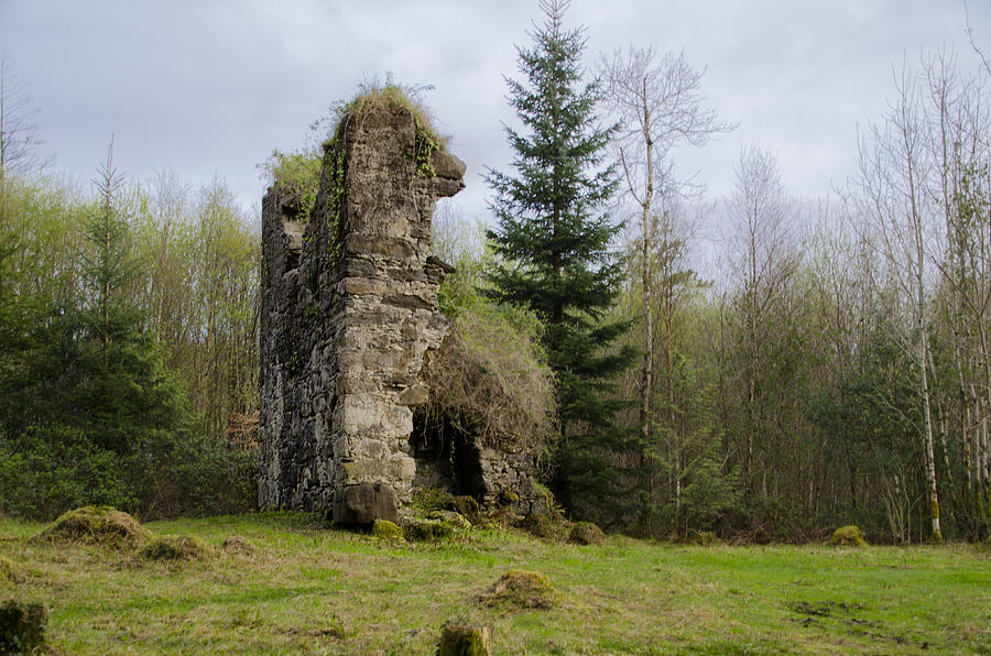 Ruins at Lough Eske Castle Photograph by Bill Cannon