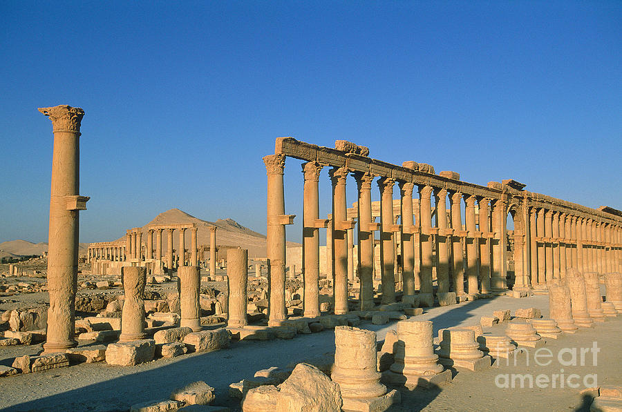Ruins At Palmyra, Syria Photograph by Adam Sylvester