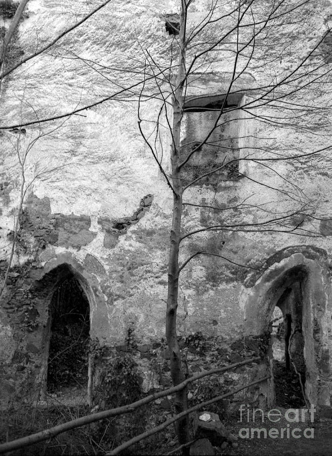 Ruin Photograph - Ruins by Candido Salghero