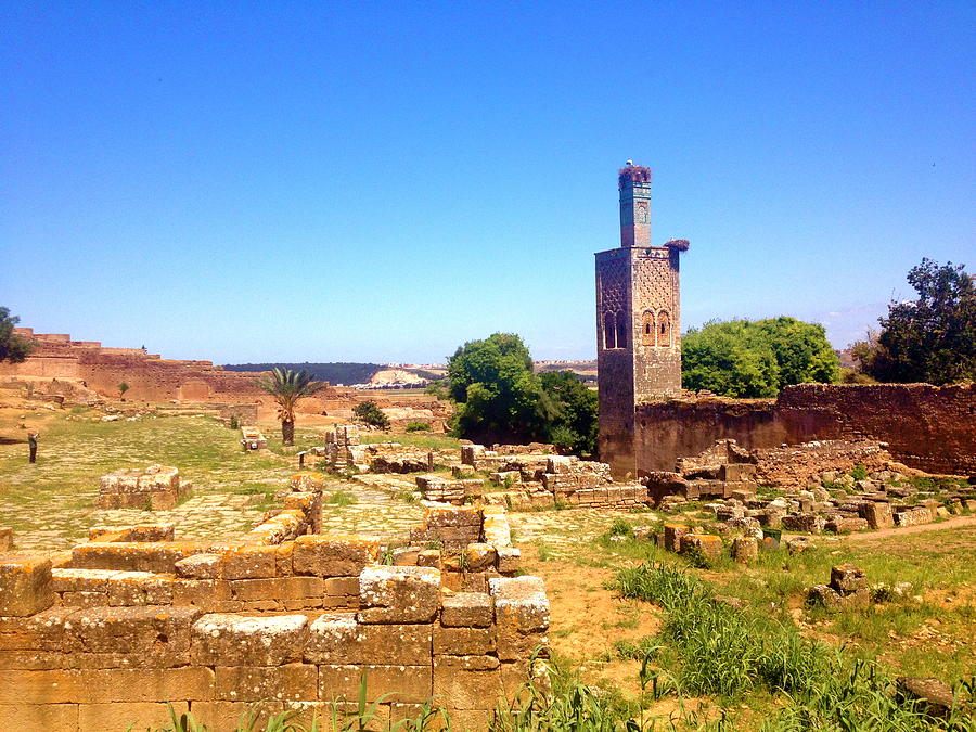 Ruins of Chellah Tower Photograph by Hannah Rose