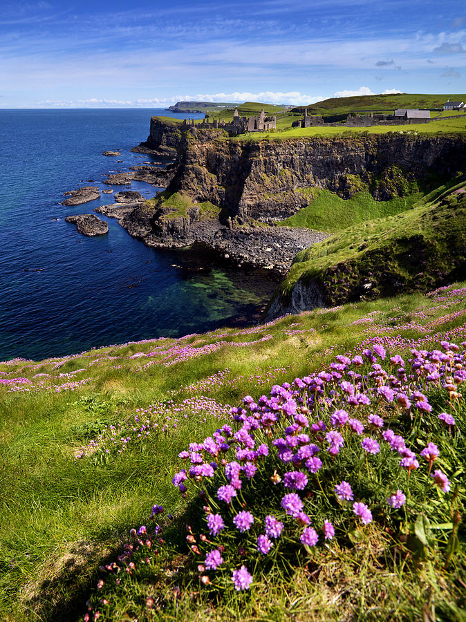 Ruins of Dunluce Castle on the north Antrim coast of Ireland. Photograph by Chris Hill Ruins of Dunluce Castle on the north Antrim coast of Ireland. Photograph by Chris Hill