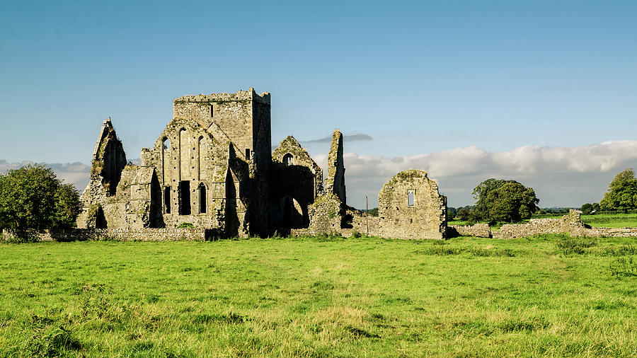 Ruins Of Hore Abbey Photograph by Megan Ahrens