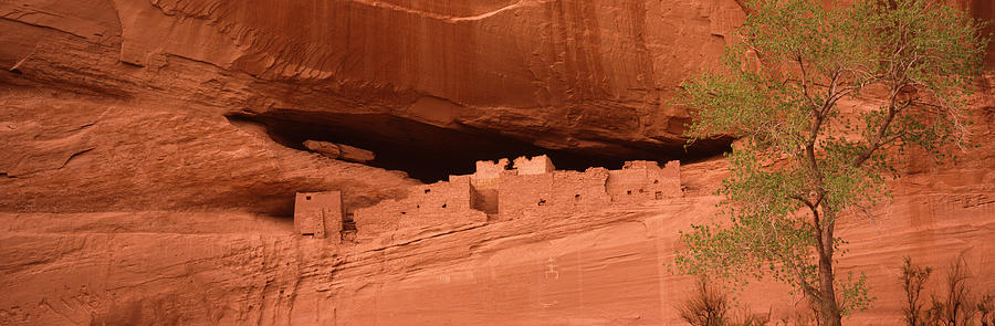 Canyon De Chelly National Monument Photograph - Ruins Of House, White House Ruins by Panoramic Images
