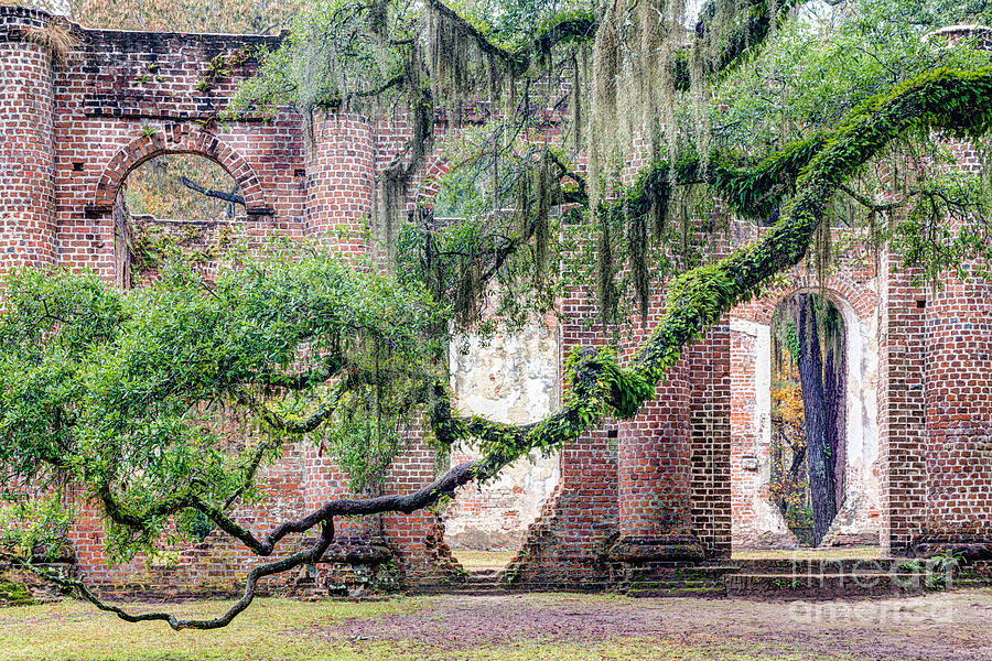 Ruins of Old Sheldon Church Beaufort County South Carolina Photograph by Dawna Moore Photography