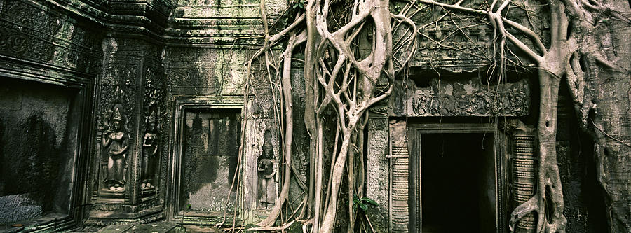 Architecture Photograph - Ruins Of Ta Prohm Temple, Angkor by Panoramic Images